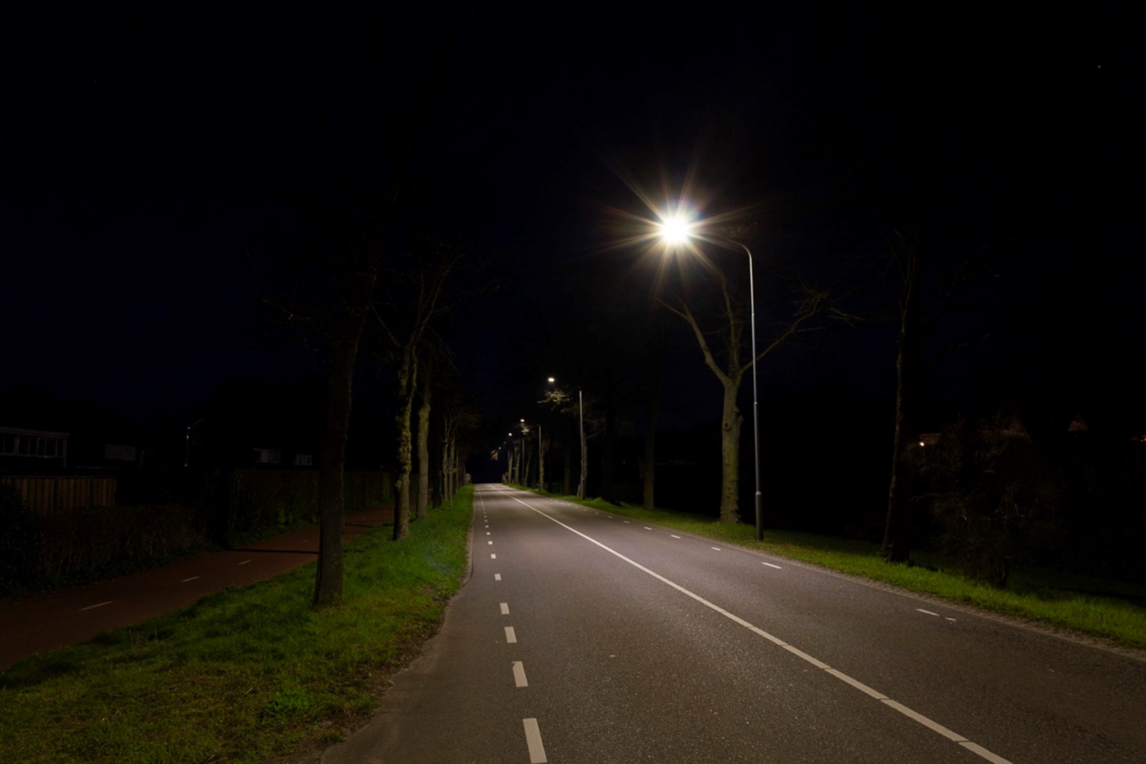 Straat met bomen erlangs in het donker. Langs de straat staan lantaarnpalen die de weg verlichten.